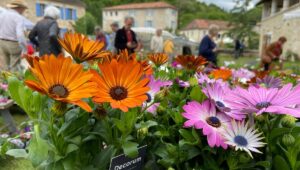 Floralies de Saint-Jean-de-Côle en Dordogne au printemps